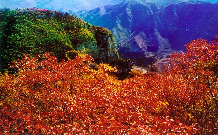 坐豪華游船惠游青天河 紅葉最后觀賞期莫錯(cuò)過 坐豪華游船惠游青天河 紅葉最后觀賞期莫錯(cuò)過