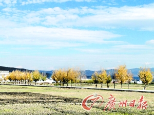 　　大理洱海湖畔美麗的鄉(xiāng)村景色。