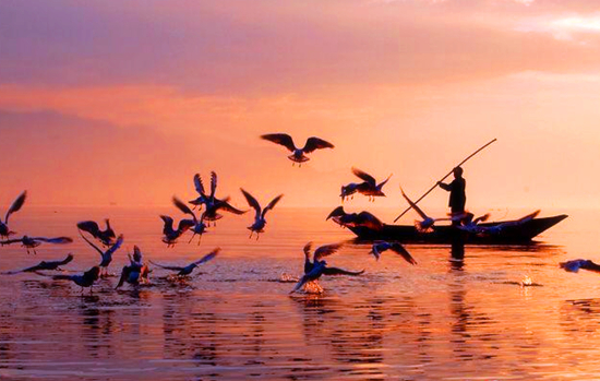 冬季正是觀鳥時 省內(nèi)觀鳥地盤點(diǎn)