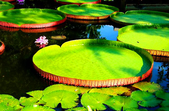 鄭州紫荊山公園雙節(jié)歡樂多 鄭州紫荊山公園雙節(jié)歡樂多