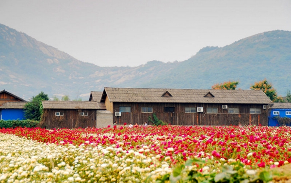 別樣蜜月，河南最適宜新婚度假的景區(qū)