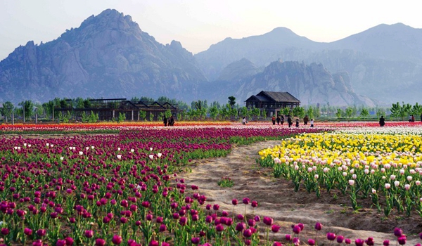 別樣蜜月，河南最適宜新婚度假的景區(qū)