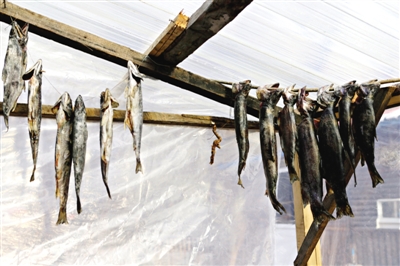 長(zhǎng)白山腳下一家小餐館內(nèi)晾曬的冷水魚。
