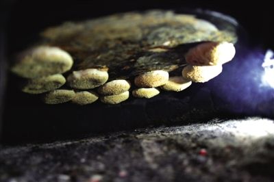 吊爐燒餅是黃驊最典型的面食之一，這種手藝在一些老院子里已經(jīng)傳承了上百年時(shí)間。