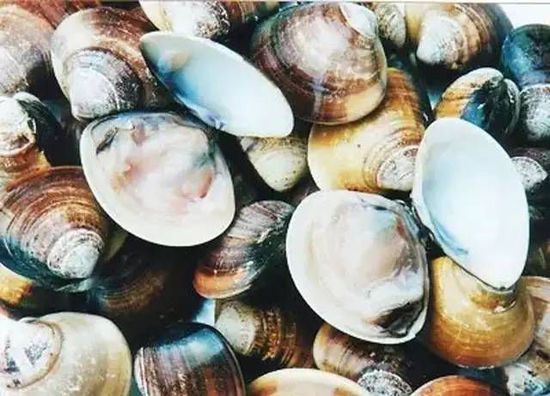 秋季最適合吃的海鮮是這10種 你吃對了嗎？