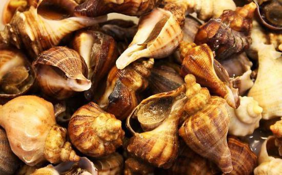 秋季最適合吃的海鮮是這10種 你吃對了嗎？