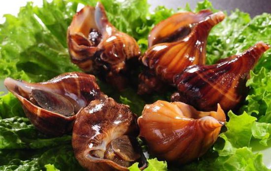 秋季最適合吃的海鮮是這10種 你吃對了嗎？