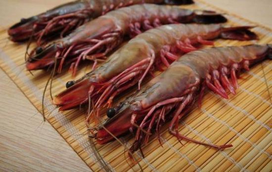 秋季最適合吃的海鮮是這10種 你吃對了嗎？