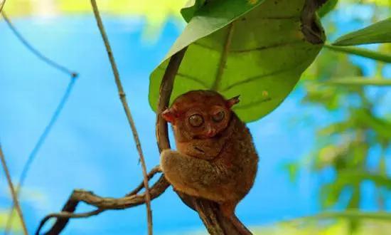 適合在冬天旅游的十個(gè)絕美海島！