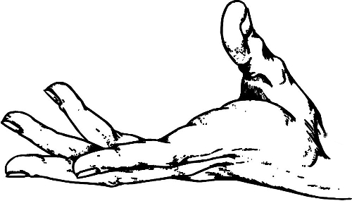 　時(shí)間：拿到通知書，未報(bào)到就可申請(qǐng)