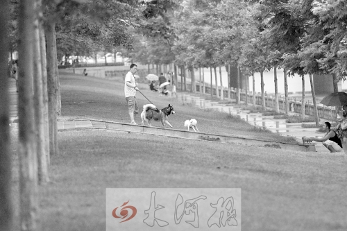 惡犬傷人事件頻發(fā)急需相關(guān)部門立法 惡犬傷人事件頻發(fā)急需相關(guān)部門立法