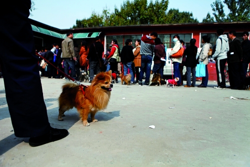 辦證點(diǎn)排起長(zhǎng)隊(duì) 辦證點(diǎn)排起長(zhǎng)隊(duì)