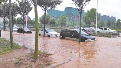 昨日，信陽突降暴雨，路面積水已淹沒輪胎。首席記者 何正權(quán) 通訊員 楊小燕 攝影