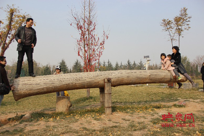 巨大的蹺蹺板，一棵樹(shù)。。。看玩的多嗨