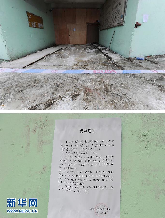 上海6日起暫停活禽交易 關(guān)閉所有活禽交易市場(chǎng)