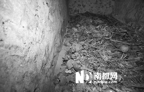 　5月29日，在以色列特拉維夫市雅法地區(qū)，一處集體墳墓被發(fā)現(xiàn)。