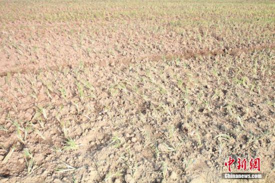 2014年7月31日早晨，浙江紹興市區(qū)蔬菜批發(fā)市場旁邊的土地已經(jīng)發(fā)生開裂。