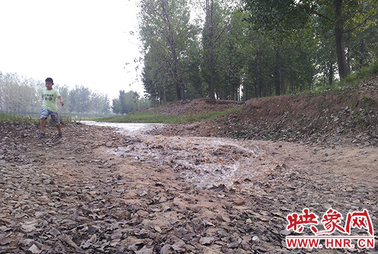 18日丹江水沿澎河流向白龜山水庫，孩子歡騰起來，跟著水頭奔跑。