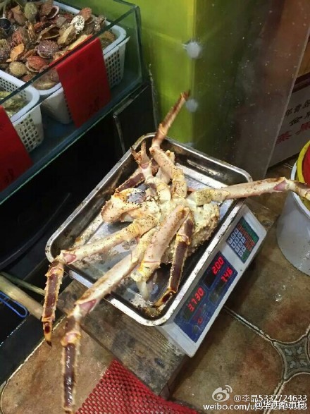 網(wǎng)友提供圖片。