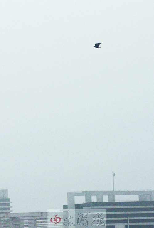 全省35個縣市發(fā)布惡劣天氣預(yù)警信號，其中15個發(fā)布大霧紅色預(yù)警