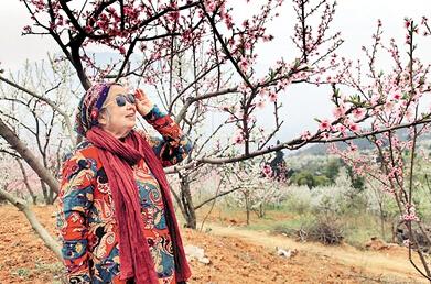 公式“時尚奶奶”的賞花照，收獲了好多人的點贊。 受訪者供圖