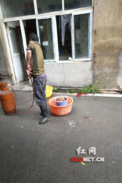 5月8日，男子在校園里殺狗，地上殘留一塊血跡。目擊者供圖。