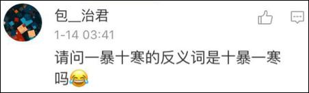 鶴立雞群？雞立鶴群！