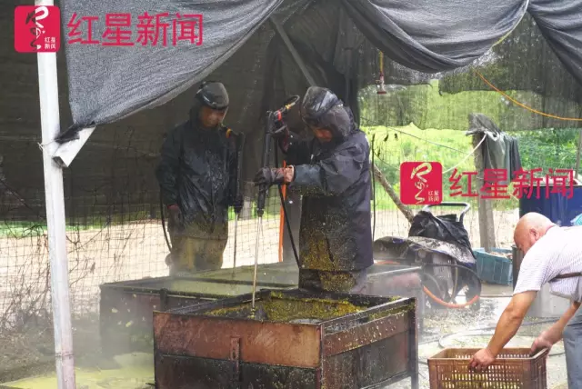 文玩核桃遇冷由幾萬一對降到5元沒人要？商戶否認