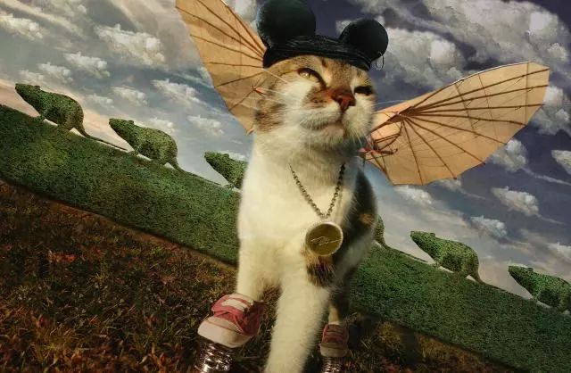 一只虛擬寵物貓叫價13億元？云養(yǎng)貓成真