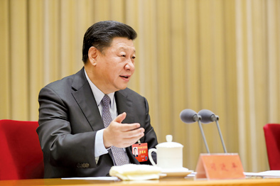 2017年12月28日至29日，中央農(nóng)村工作會議在北京舉行。習(xí)近平在會上發(fā)表重要講話。新華社記者 丁林 攝