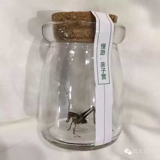 看看我的成果吧！