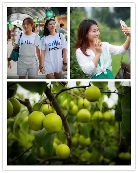 美女與香梨，你更愛哪一個(gè)？！