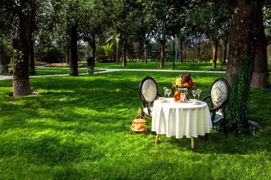 秋陽鴻園，芳草青青