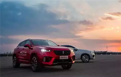 去年“蹦”出來的新汽車品牌們，現(xiàn)在活得怎么樣了？