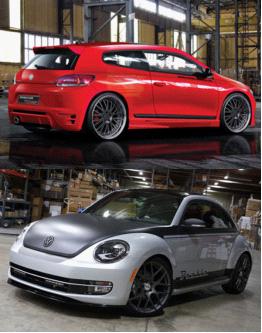 尚酷、甲殼蟲