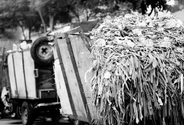 垃圾車(chē)、渣土車(chē)再在市區(qū)“裸奔”就是違法了