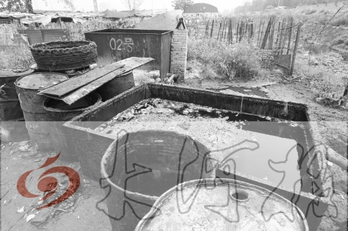 　　骯臟、令人作嘔的油桶凌亂地?cái)[放在院子里，為了避免視覺刺激，我們把它做成了黑白圖片。