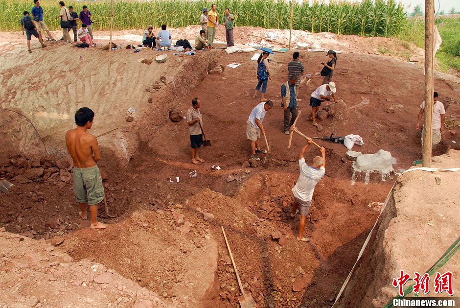 恐龍化石發(fā)掘現(xiàn)場(chǎng)。