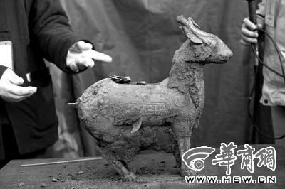 一件似羊似鹿的犧尊華麗亮相，可愛的造型“萌翻”現(xiàn)場。