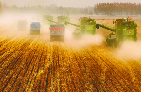 田里，一臺(tái)臺(tái)收割機(jī)唱著豐收歌。