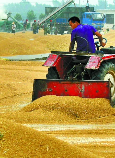 精心晾曬，散倉(cāng)入庫(kù)。