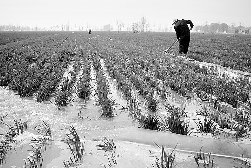 3月25日，濮陽縣郎中鄉(xiāng)大趙寨村農(nóng)民在為小麥澆水。連日來，濮陽縣廣大農(nóng)民不誤農(nóng)時，及時為麥田施肥、澆