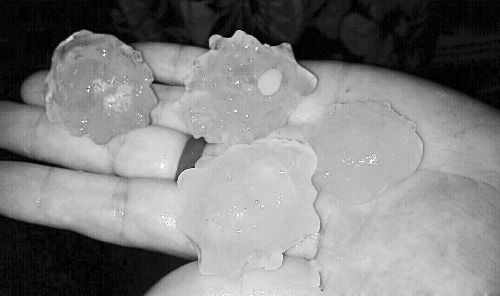 昨天凌晨，三門峽下起了冰雹，最大直徑近1厘米 微博截圖