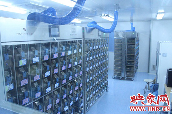 “鼠村”里每一個籠子是一家?！按濉崩镒≈?萬只左右的小鼠