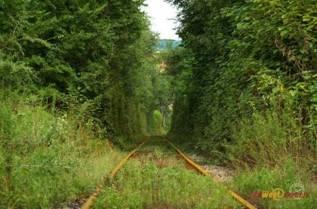 西安現(xiàn)“小清新”鐵路 西安現(xiàn)“小清新”鐵路