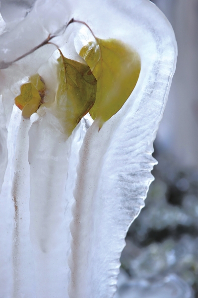 北京一水管爆裂形成冰掛景觀 北京一水管爆裂形成冰掛景觀