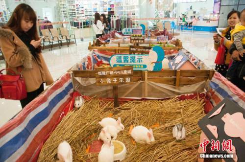 廣西多家商場(chǎng)在大廳圈養(yǎng)動(dòng)物招攬顧客 廣西多家商場(chǎng)在大廳圈養(yǎng)動(dòng)物招攬顧客