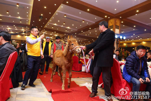 江蘇一公司奇葩年會(huì):當(dāng)場(chǎng)領(lǐng)牲畜 江蘇一公司奇葩年會(huì):當(dāng)場(chǎng)領(lǐng)牲畜