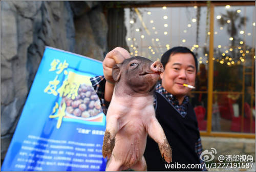 江蘇一公司奇葩年會(huì):當(dāng)場(chǎng)領(lǐng)牲畜 江蘇一公司奇葩年會(huì):當(dāng)場(chǎng)領(lǐng)牲畜