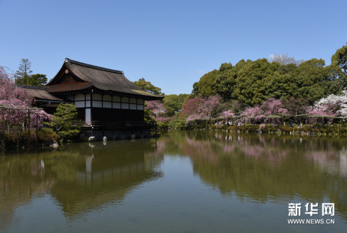 莫負(fù)人間四月天 莫負(fù)人間四月天